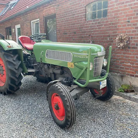 Kluvetasch Nr 1 - Ostseekrabbe *