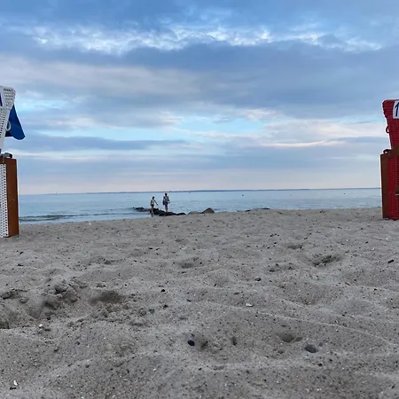 Kluvetasch Nr 1 - Ostseekrabbe