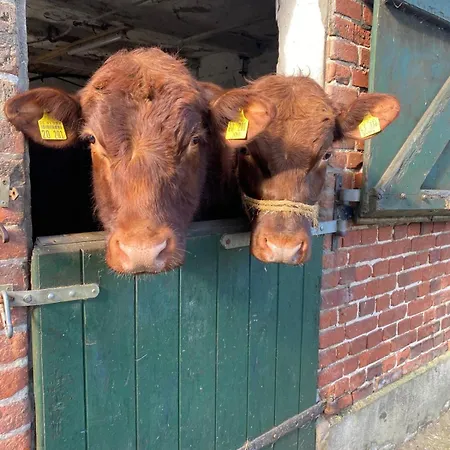 Kluvetasch Nr 1 - Ostseekrabbe Rettin